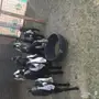 تيس وسبع عناق للبيع 