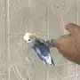 روز اليف وهدد 