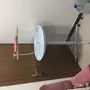 اغراض ببغاء