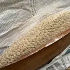 لقاح نخل للبيع