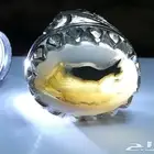 عشاق الاحجار المصوره خاتم ملكي راهي مصور