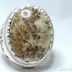 خاتم مرجان احفوري طبيعي راقي وجميل المنظر