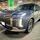 باليسيد كاليجرافي دبل سعودي