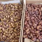 تمور للبيع