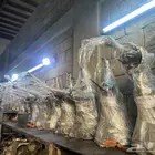 جيربكسات ايسوزو وانيت ديزل مستورد شد بلد كبير و صغير