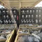 مكائن سيارات جمس اكاديا شيفروليه ترافيرس