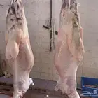 ذبايح طليان حريه شامل الذبح والتوصيل