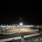 مربط ايواء خيل ايجار غرف بوايك بواديك اسطبل خيول فرس حصان