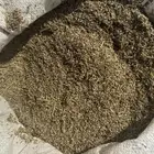 بذور رودس فاخر انتاج محلي من اصل أفريقي