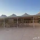 تاجيرمضلات