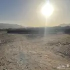سماد للزراعه مكيس مجانا
