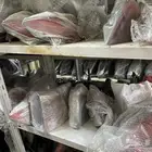 مكاين و قطع غيار مستورد شد بلد BMW