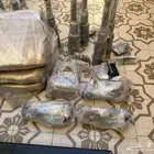 تم وصول قطع غيار لكزس 430 و460