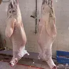 طليان طيب ونظيفه جدا مع الذبح والتوصيل