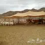 بيشيات صنف مع المراح كامل 