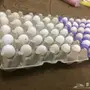 جده حي مريخ