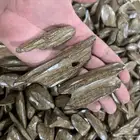 جملة عود مروكي محسن كسر مباخر