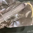 للبيع ابره غر للطيور