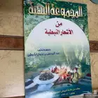 كتاب المجموعة البهية من الاشعار النبطية