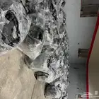 قطع غيار مستعمل وارد