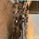 قطع كرايسلر شارجر شالنجر