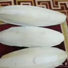 متوفر حبار حجم ضخم للبغاوات والطيور الكبيره