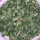 اوراق مورينجا