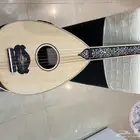 عود نصف كهربائي