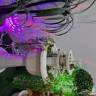 نافورة جميلة