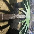 تنفيذ وتصميم جميع اشكال ومجسمات الفايبر جلاس