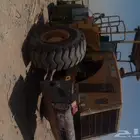 شيول كبير النوع صيني