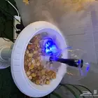 نافورة فواحة