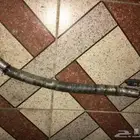 قطع شبح ..