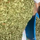 حنا المدينة حنى درجة ممتازة لون ورائحة
