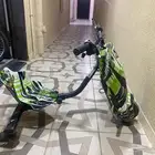 اسكوتر للبيع