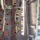 فروووخ روز