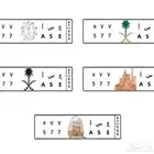 لوحة مميزة للبيع