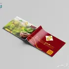 تصميم التقارير السنوية والكتيبات والشعارات والبرشورات