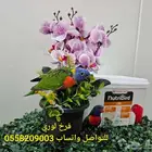فروخ لوري