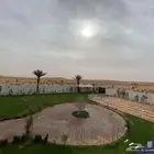 إيواء وربط خيل ربط للإيجار الشهري واستراحة للإيجار اليومي