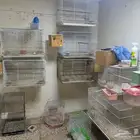 البيع اقفاص