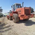 شيول دايو للبيع
