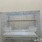 أقفاص