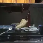 للبيع جهاز لاب توب