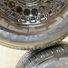 جنوط اوفرود