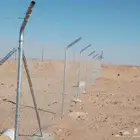 مقاول شبوك وزراعة النخيل