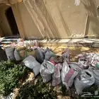 كنكري