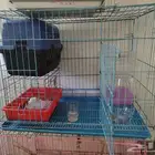 مستلزمات طيور وحيوانات وزراعة