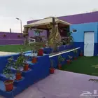 شقه او شقق للايجار فترة الصيفية أبها