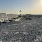 مطل سجه كوفي شوب